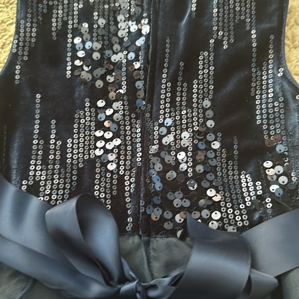 4T Rare Editions special occasion dress - Picture 4 of 5